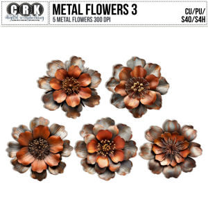 (CU) Rusty Metal Flowers Set 3 by CRK