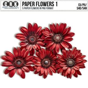 (CU) Paper Flowers Set 1 by CRK
