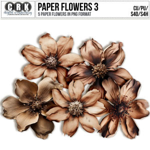 (CU) Paper Flowers Set 3 by CRK