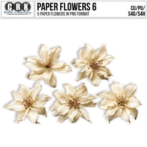 (CU) Paper Flowers Set 6 by CRK 