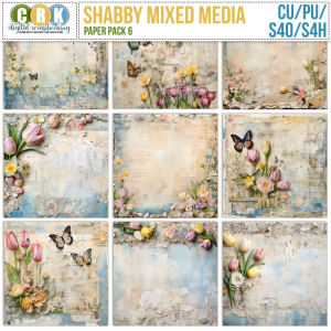 (CU) Shabby Mixed Media Set 6 by CRK 