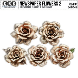 (CU) Newspaper Flowers Set 2 by CRK  