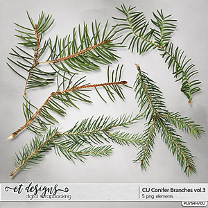 CU Conifer Branches vol.3