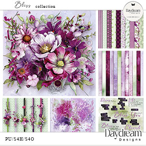 Bliss Collection by Daydream Designs  