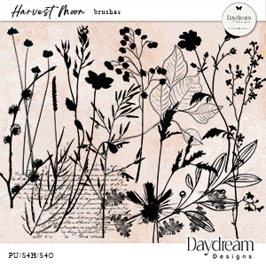 Harvest Moon Stamp Brushes by Daydream Designs   
