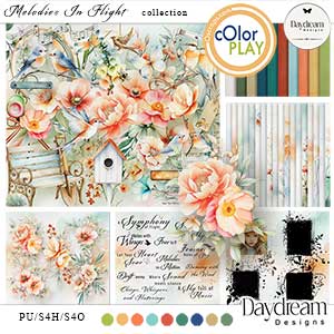 Melodies In Flight Collection by Daydream Designs     