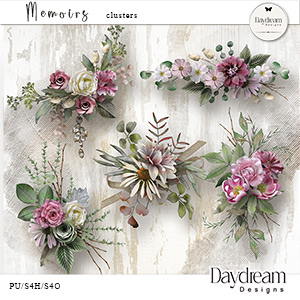 Memoirs Clusters by Daydream Designs