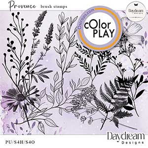 Provence Stamp Brushes by Daydream Designs     