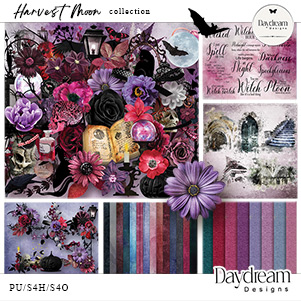 The Midnight Hour Collection by Daydream Designs    