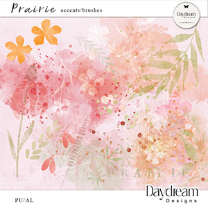 Prairie Accents Brushes by Daydream Designs
