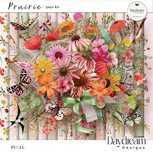 Prairie Page Kit by Daydream Designs