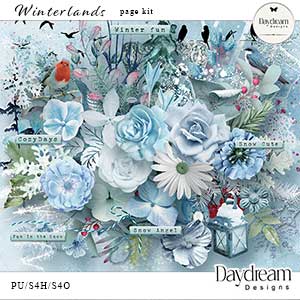 Winterlands Page Kit by Daydream Dsigns   