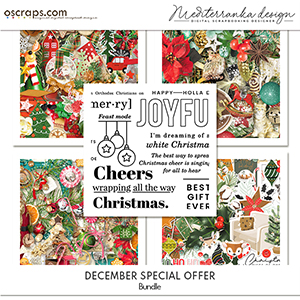December special offer (Bundle) 