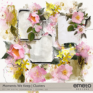 Moments We Keep Clusters
