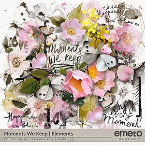 Moments We Keep Elements