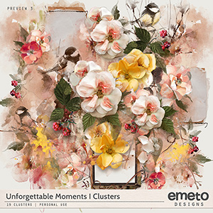 Unforgettable Moments Clusters