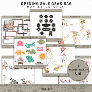 Grab Bag Element Pack by FeiFei Stuff
