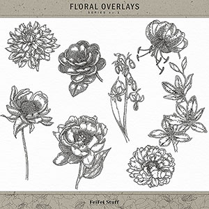 Floral Overlays No.1 by FeiFei Stuff