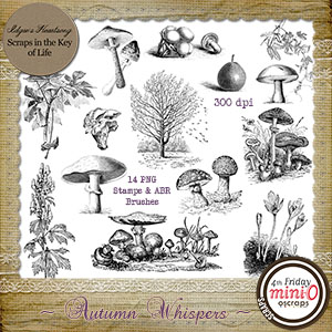 Autumn Whispers - 14 PNG Stamps and ABR Brushes by Idgie's Heartsong