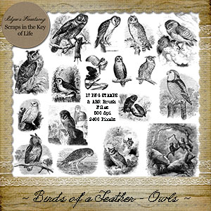 Birds of a Feather - OWLS - 17 PNG Stamps and ABR Brush Files by Idgie's Heartsong