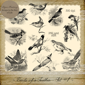 Birds of a Feather - Set 1 by Idgie's Heartsong