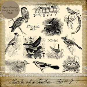 Birds of a Feather - Set 2 by Idgie's Heartsong