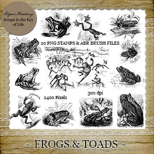 FROGS and TOADS - 20 Vintage PNG Stamps and Brushes by Idgie's Heartsong