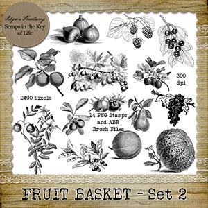 FRUIT BASKET - Set 2 - 14 PNG Stamps and ABR Brush Files by Idgie's Heartsong