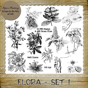 FLORA - Set 1 - 12 PNG Stamps and ABR Brush Files