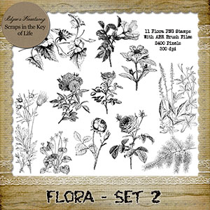 FLORA - Set 2 - 11 PNG Stamps and ABR Brush Files by Idgie's Heartsong