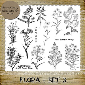 FLORA - Set 3 - 11 PNG Stamps and ABR Brush Files