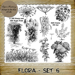 FLORA - Set 6 - 11 PNG Stamps and ABR Brush Files by Idgie's Heartsong