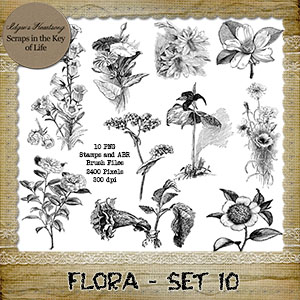 FLORA - Set 10 - 10 PNG Stamps and ABR Brush Files by Idgie's Heartsong