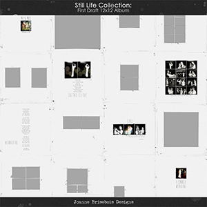 Still Life Collection: First Draft 12x12 Album