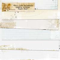 Still Life Collection: Lightly Altered Paper Pack