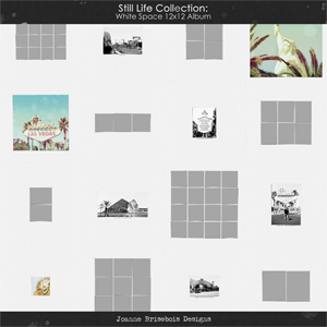 Still Life Collection: White Space 12x12 Album