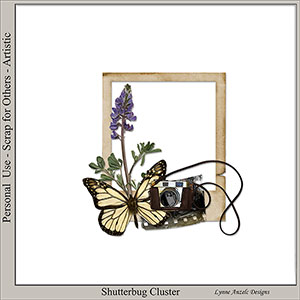Shutterbug Cluster Frame 01