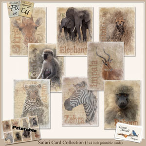 Safari Cards