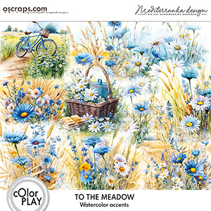 To the meadow (Watercolor accents) 