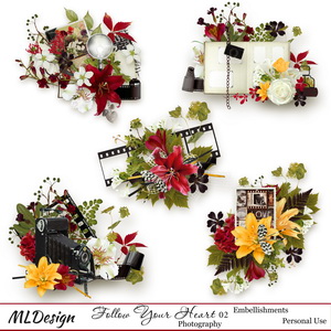 Follow Your Heart 2 Clusters Embellishments