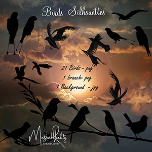 Birds Silhouette 1 by MagicalReality Designs