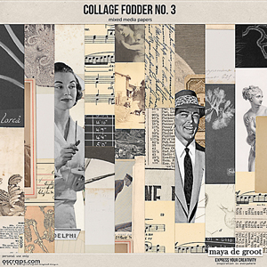 Collage Fodder No 3 by Maya de Groot