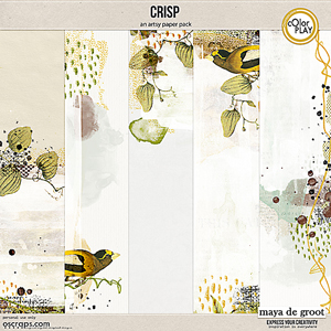 Crisp Artsy Papers and Overlays