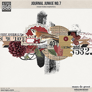 Journal Junkie No. 7 by Maya de Groot