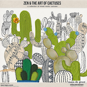 Zen and the Art of:  Cactuses