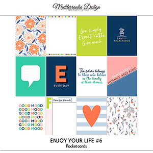 Enjoy your life No 6 (Pocket cards)