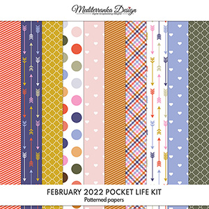 February 2022 Pocket life kit (Patterned papers)