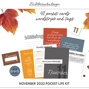 November 2023 Pocket life kit (Full kit)