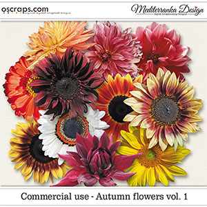 CU - Autumn flowers vol. 1