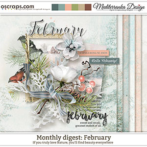 Monthly Digest: February (Mini kit)